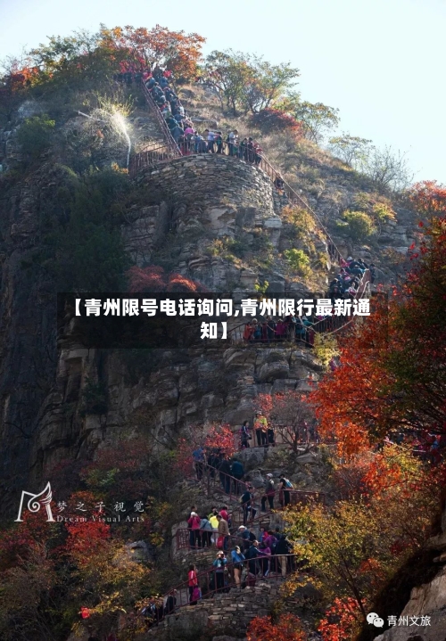 【青州限号电话询问,青州限行最新通知】-第2张图片