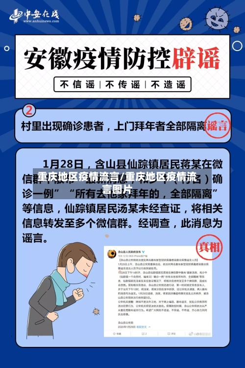 重庆地区疫情流言/重庆地区疫情流言图片
