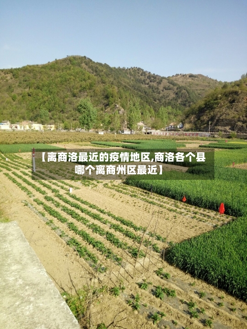 【离商洛最近的疫情地区,商洛各个县哪个离商州区最近】-第2张图片