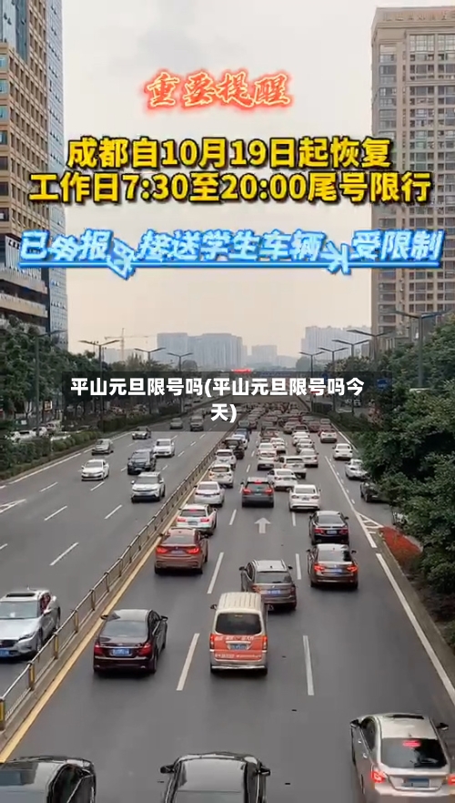 平山元旦限号吗(平山元旦限号吗今天)-第2张图片