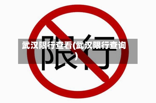 武汉限行查看(武汉限行查询)