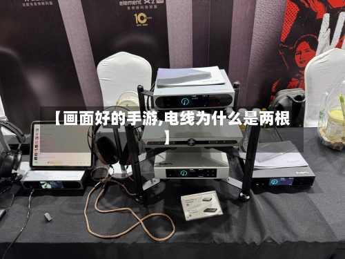 【画面好的手游,电线为什么是两根】