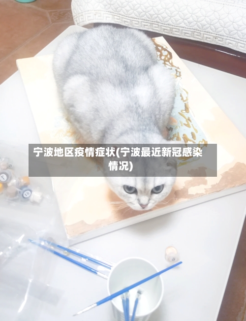 宁波地区疫情症状(宁波最近新冠感染情况)