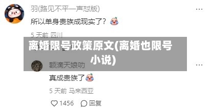 离婚限号政策原文(离婚也限号小说)