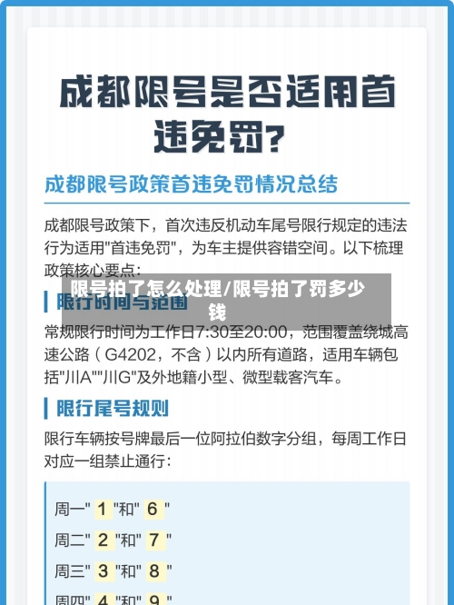 限号拍了怎么处理/限号拍了罚多少钱-第2张图片