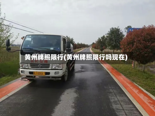 黄州牌照限行(黄州牌照限行吗现在)-第2张图片