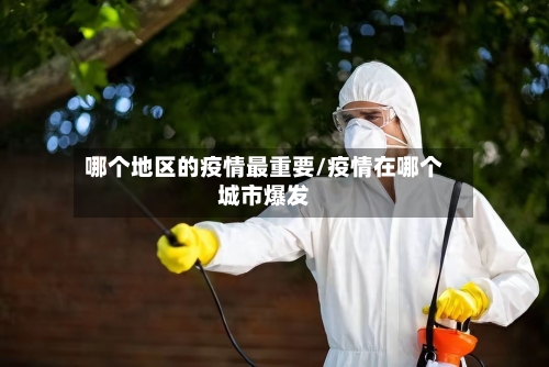 哪个地区的疫情最重要/疫情在哪个城市爆发