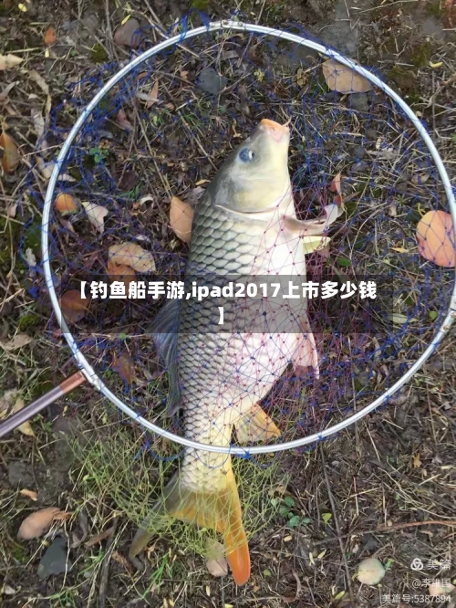 【钓鱼船手游,ipad2017上市多少钱】
