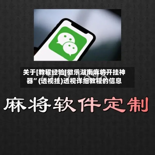 关于[教程经验]微乐湖南麻将开挂神器	”(透视挂)透视详细教程的信息-第2张图片